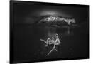 Gramercy Black