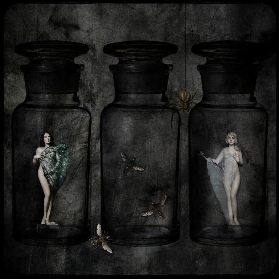 Photographic Print, , large