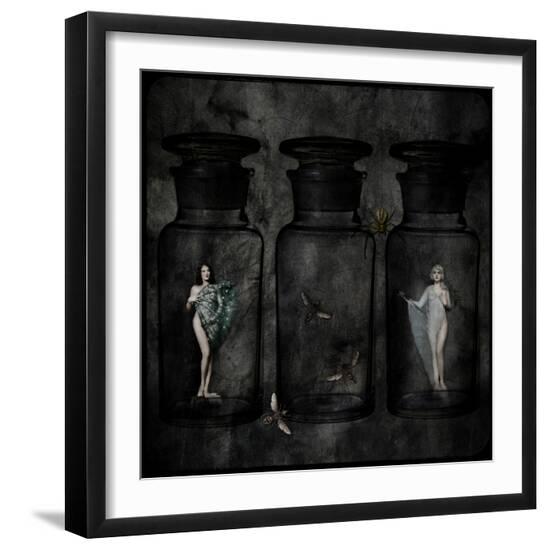 Premium Photographic Print, , large