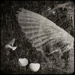 Sunken Treasure-Lydia Marano-Photographic Print