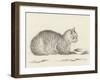 Lying Cat, Facing Right, by a Dish, 1812-Jean Bernard-Framed Art Print