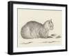 Lying Cat, Facing Right, by a Dish, 1812-Jean Bernard-Framed Art Print