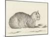 Lying Cat, Facing Right, by a Dish, 1812-Jean Bernard-Mounted Art Print