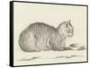 Lying Cat, Facing Right, by a Dish, 1812-Jean Bernard-Framed Stretched Canvas