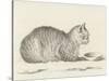 Lying Cat, Facing Right, by a Dish, 1812-Jean Bernard-Stretched Canvas