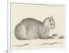 Lying Cat, Facing Right, by a Dish, 1812-Jean Bernard-Framed Art Print