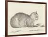 Lying Cat, Facing Right, by a Dish, 1812-Jean Bernard-Framed Art Print