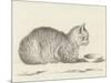 Lying Cat, Facing Right, by a Dish, 1812-Jean Bernard-Mounted Art Print