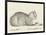 Lying Cat, Facing Right, by a Dish, 1812-Jean Bernard-Framed Art Print