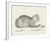 Lying Cat, Facing Right, By A Dish-Jean Bernard-Framed Art Print