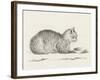 Lying Cat, Facing Right, By A Dish-Jean Bernard-Framed Art Print