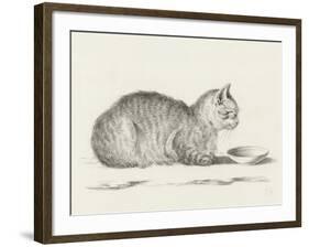 Lying Cat, Facing Right, By A Dish-Jean Bernard-Framed Art Print