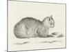 Lying Cat, Facing Right, By A Dish-Jean Bernard-Mounted Art Print