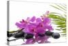 Lying down Pink Branch Orchid with Black Stones with Green Palm-Apollofoto-Stretched Canvas