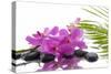 Lying down Pink Branch Orchid with Black Stones with Green Palm-Apollofoto-Stretched Canvas