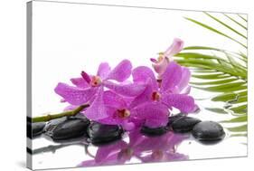 Lying down Pink Branch Orchid with Black Stones with Green Palm-Apollofoto-Stretched Canvas