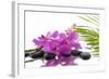 Lying down Pink Branch Orchid with Black Stones with Green Palm-Apollofoto-Framed Photographic Print