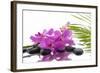 Lying down Pink Branch Orchid with Black Stones with Green Palm-Apollofoto-Framed Photographic Print