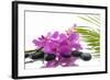 Lying down Pink Branch Orchid with Black Stones with Green Palm-Apollofoto-Framed Photographic Print