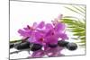 Lying down Pink Branch Orchid with Black Stones with Green Palm-Apollofoto-Mounted Photographic Print