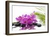 Lying down Pink Branch Orchid with Black Stones with Green Palm-Apollofoto-Framed Photographic Print