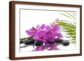 Lying down Pink Branch Orchid with Black Stones with Green Palm-Apollofoto-Framed Photographic Print