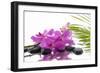 Lying down Pink Branch Orchid with Black Stones with Green Palm-Apollofoto-Framed Photographic Print