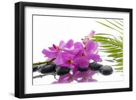 Lying down Pink Branch Orchid with Black Stones with Green Palm-Apollofoto-Framed Photographic Print