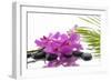 Lying down Pink Branch Orchid with Black Stones with Green Palm-Apollofoto-Framed Photographic Print