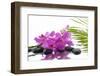 Lying down Pink Branch Orchid with Black Stones with Green Palm-Apollofoto-Framed Photographic Print