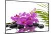 Lying down Pink Branch Orchid with Black Stones with Green Palm-Apollofoto-Mounted Photographic Print