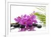 Lying down Pink Branch Orchid with Black Stones with Green Palm-Apollofoto-Framed Photographic Print