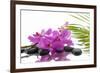 Lying down Pink Branch Orchid with Black Stones with Green Palm-Apollofoto-Framed Photographic Print