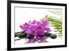 Lying down Pink Branch Orchid with Black Stones with Green Palm-Apollofoto-Framed Photographic Print