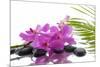 Lying down Pink Branch Orchid with Black Stones with Green Palm-Apollofoto-Mounted Photographic Print