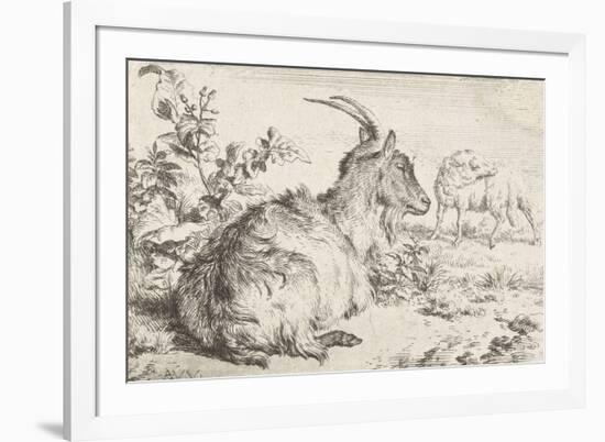 Lying goat, 1670-Adriaen van de Velde-Framed Giclee Print