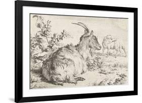 Lying goat, 1670-Adriaen van de Velde-Framed Giclee Print