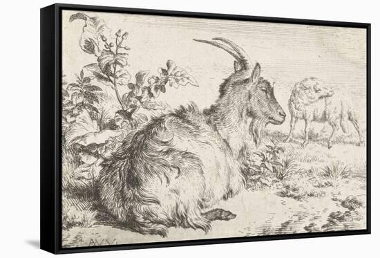 Lying goat, 1670-Adriaen van de Velde-Framed Stretched Canvas