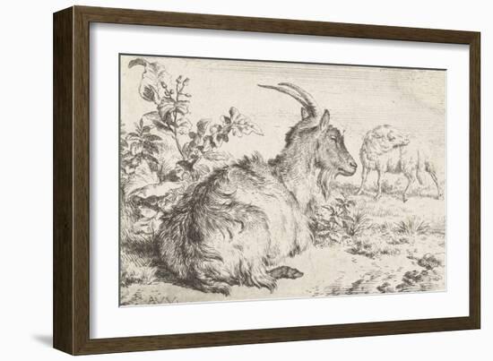 Lying goat, 1670-Adriaen van de Velde-Framed Giclee Print