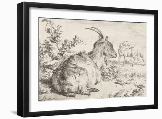 Lying goat, 1670-Adriaen van de Velde-Framed Giclee Print