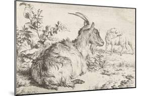 Lying goat, 1670-Adriaen van de Velde-Mounted Giclee Print