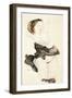 Lying Young Female, Half Nude, 1912-Egon Schiele-Framed Giclee Print