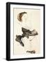 Lying Young Female, Half Nude, 1912-Egon Schiele-Framed Giclee Print