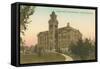 Lyman Hall of Natural History, Syracuse University-null-Framed Stretched Canvas