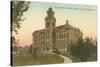 Lyman Hall of Natural History, Syracuse University-null-Stretched Canvas