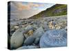 Lyme Regis, a Gateway Town To UNESCO World Heritage Site of Jurassic Coast, Large Ammonite Fossil-Alan Copson-Stretched Canvas