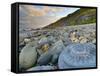 Lyme Regis, a Gateway Town To UNESCO World Heritage Site of Jurassic Coast, Large Ammonite Fossil-Alan Copson-Framed Stretched Canvas