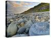 Lyme Regis, a Gateway Town To UNESCO World Heritage Site of Jurassic Coast, Large Ammonite Fossil-Alan Copson-Stretched Canvas