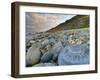 Lyme Regis, a Gateway Town To UNESCO World Heritage Site of Jurassic Coast, Large Ammonite Fossil-Alan Copson-Framed Photographic Print