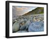 Lyme Regis, a Gateway Town To UNESCO World Heritage Site of Jurassic Coast, Large Ammonite Fossil-Alan Copson-Framed Photographic Print